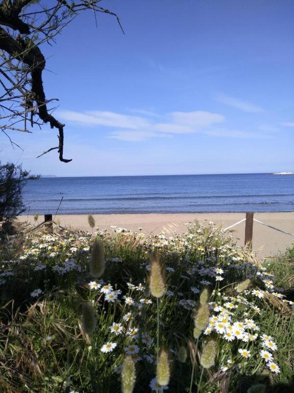 Apartment Stil Mar Anna - Stil Mar Anna 1 *